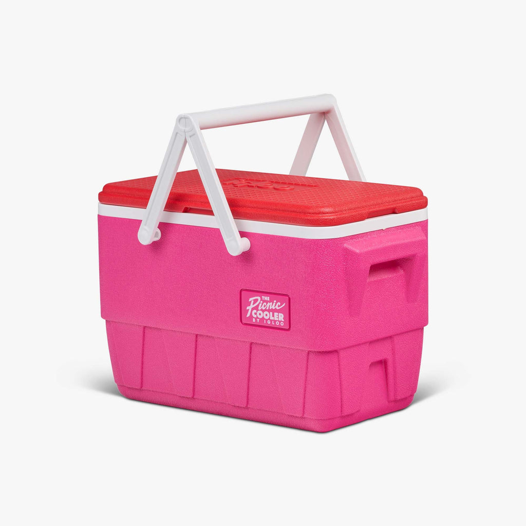 Retro Picnic Basket 25 Qt Cooler J5 - Tutti Frutti - Product View