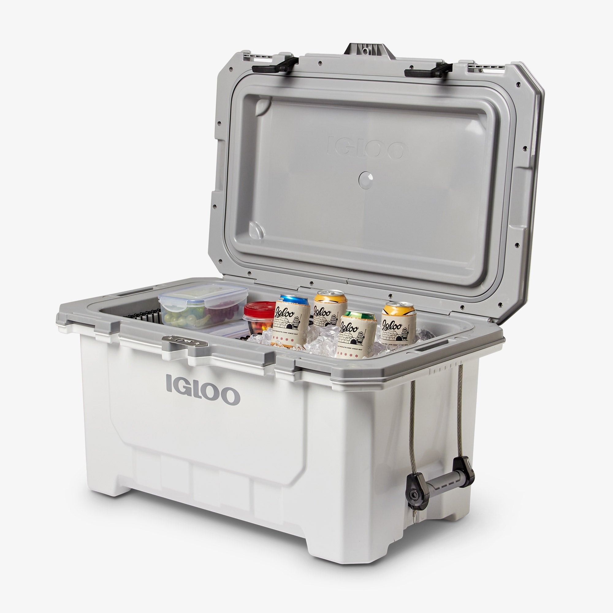 IMX 70 Qt Cooler L2 - White - Product View